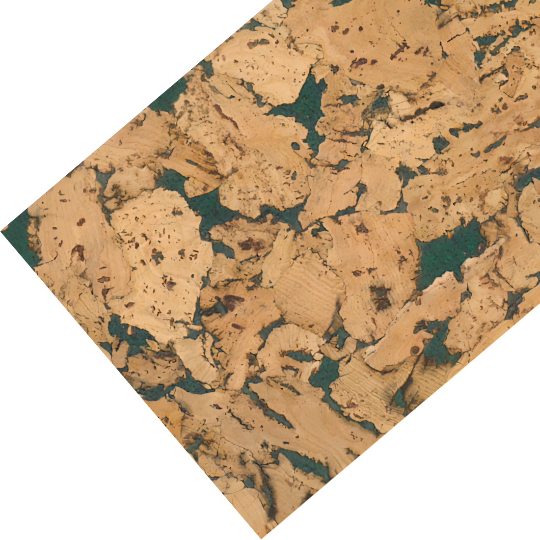 Decorative cork wall tiles in moss colour, sample strip for interior wall decoration, natural cork surface.